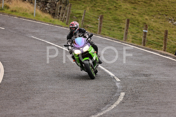 Steve - 3N3A9999 (1056)