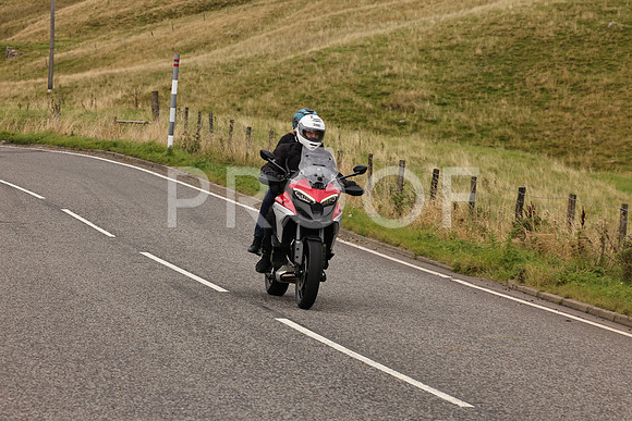 Steve - 3N3A9999 (5024)