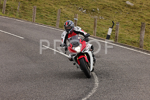 3N3A4504