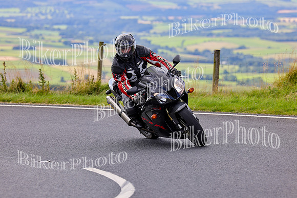 3N3A7961