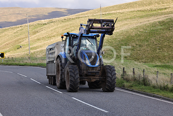 Steve - 3N3A6320 (240)
