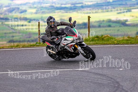 0W9A0651 (2)
