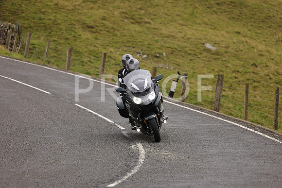 Steve - 3N3A9999 (1148)