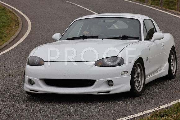 Steve - 3N3A9999 (2079)
