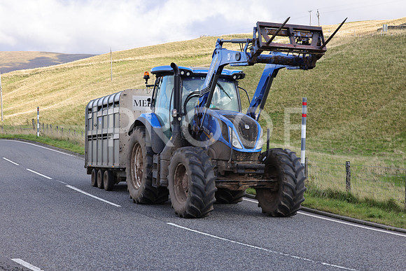 Steve - 3N3A6320 (246)