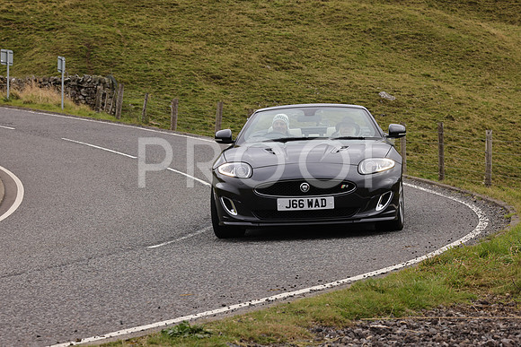 Steve - 3N3A9999 (3349)