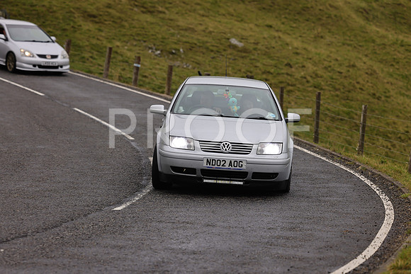 Steve - 3N3A9999 (1605)
