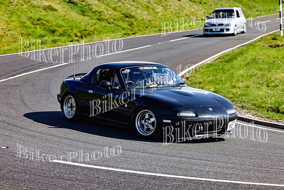 Daves (125)