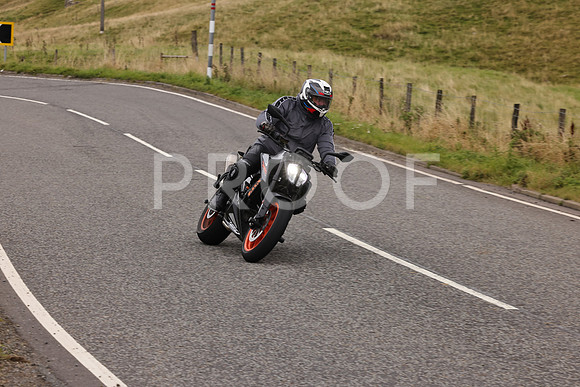 Steve - 3N3A9999 (3840)