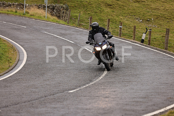 Steve - 3N3A9999 (1032)
