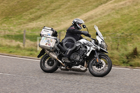 Steve - 3N3A9999 (3067)