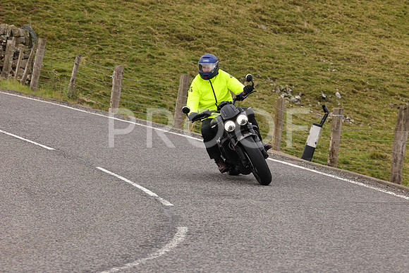 Steve - 3N3A9999 (4947)