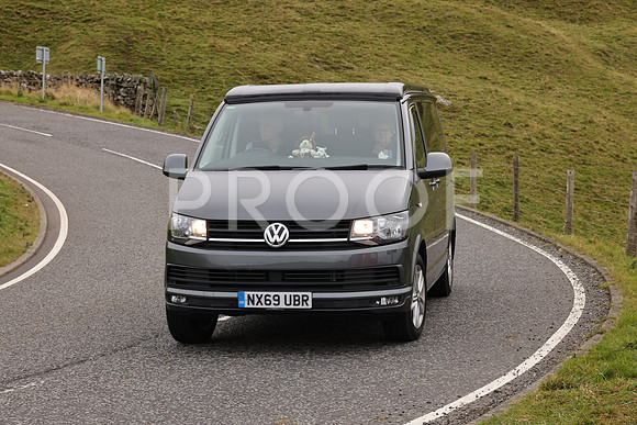 Steve - 3N3A9999 (2547)