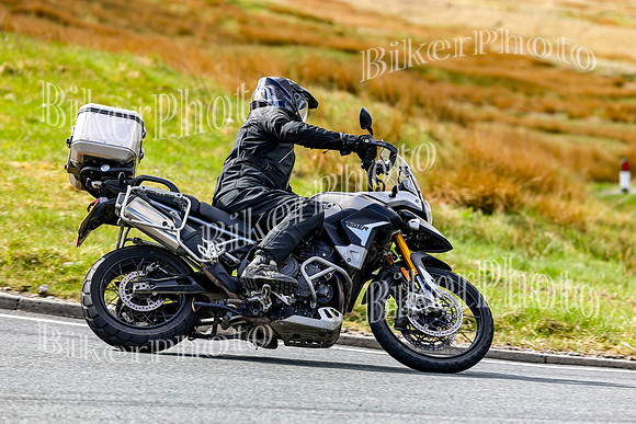 0W9A8629