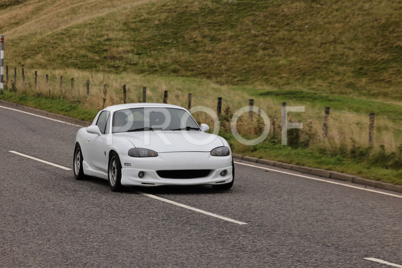 Steve - 3N3A9999 (2110)