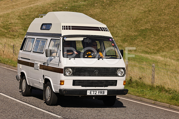 Steve - 3N3A6320 (1713)