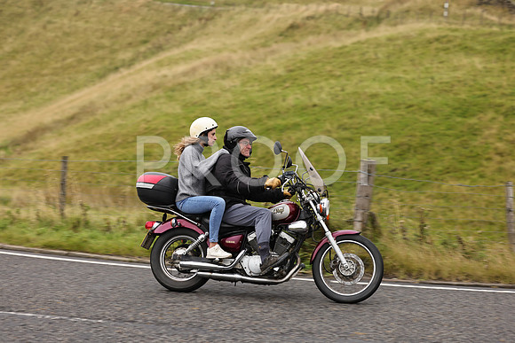 Steve - 3N3A9999 (1213)