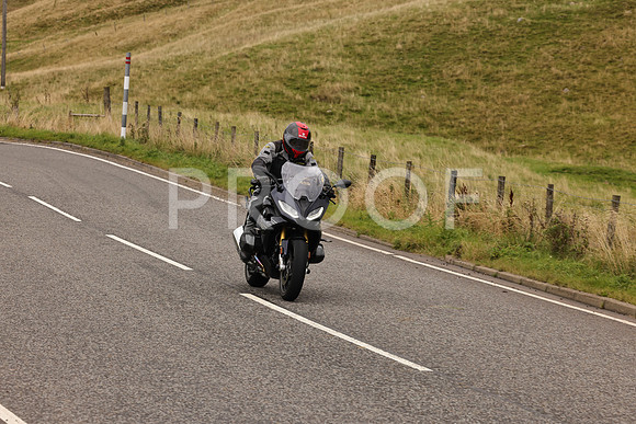 Steve - 3N3A9999 (4990)