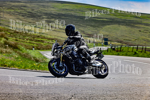 Daves (70)