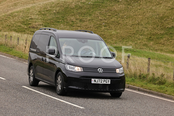 Steve - 3N3A9999 (2138)