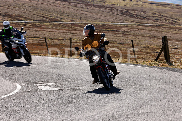 _N3A000200 (1460)