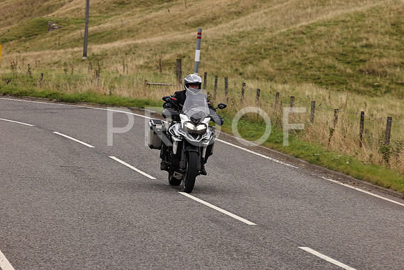 Steve - 3N3A9999 (3049)
