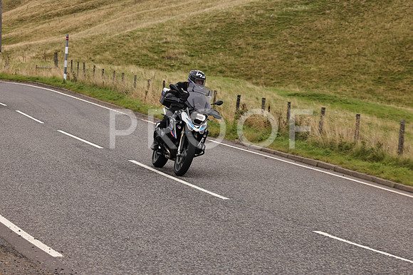 Steve - 3N3A9999 (3030)
