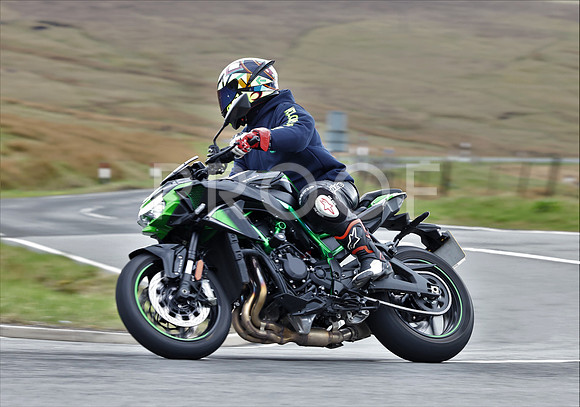 3N3A3864
