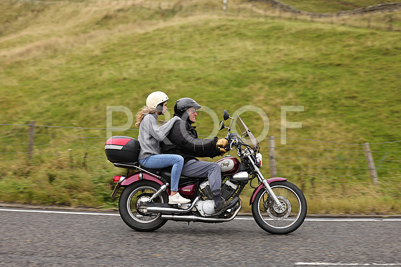 Steve - 3N3A9999 (1216)