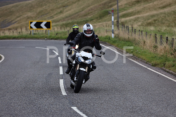 Dave - 0Z1A2911 (23)