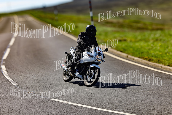 Daves (56)