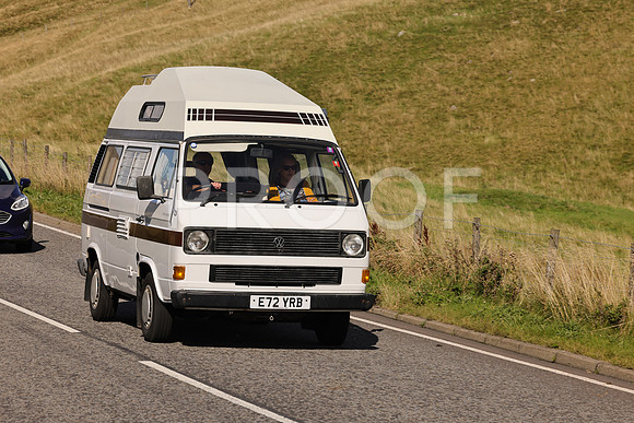 Steve - 3N3A6320 (1702)
