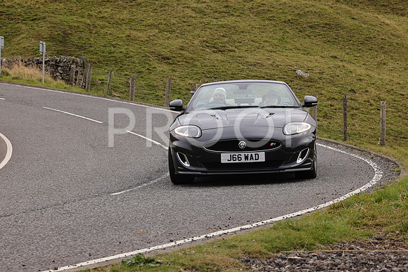 Steve - 3N3A9999 (3348)