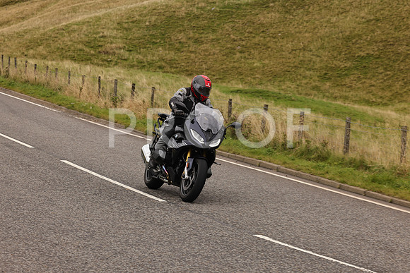 Steve - 3N3A9999 (4993)