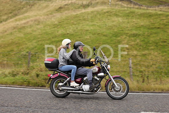 Steve - 3N3A9999 (1215)