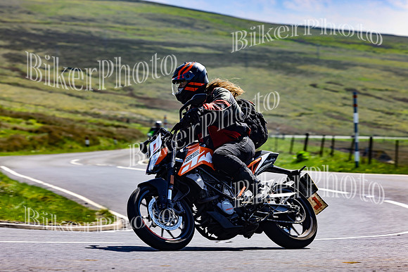 Daves (102)
