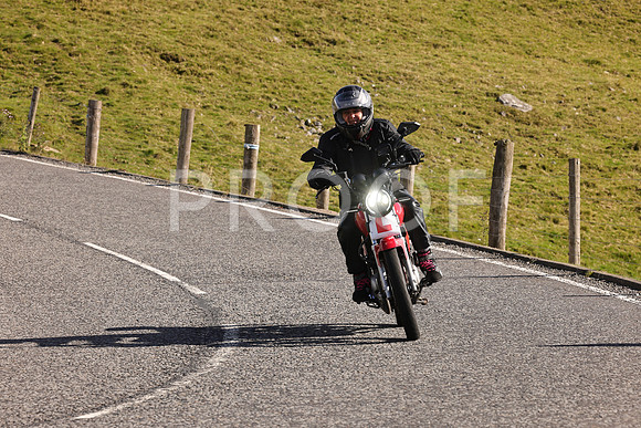Steve - 3N3A6320 (2007)