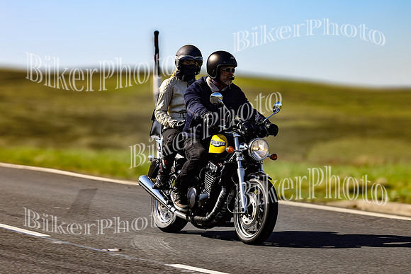 Daves (49)