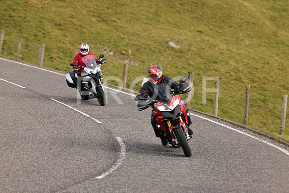 Steve - 3N3A6320 (3136)