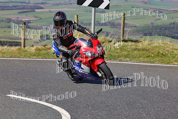 250A5928 (2)