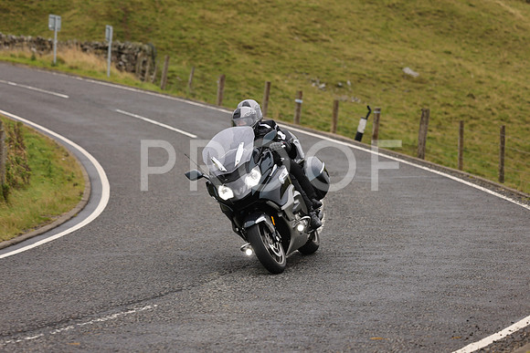 Steve - 3N3A9999 (1155)