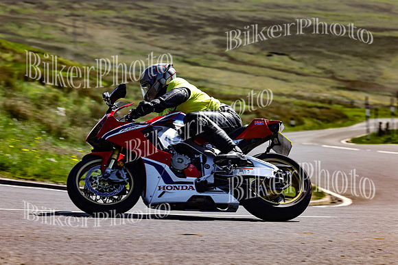 Daves (73)