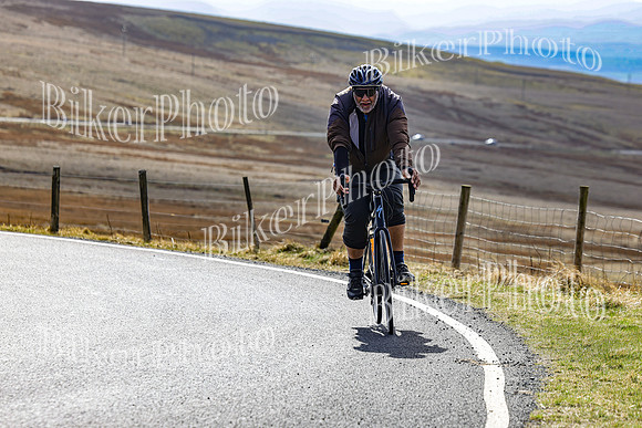 250A3341