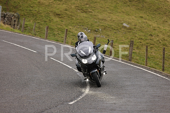 Steve - 3N3A9999 (1153)