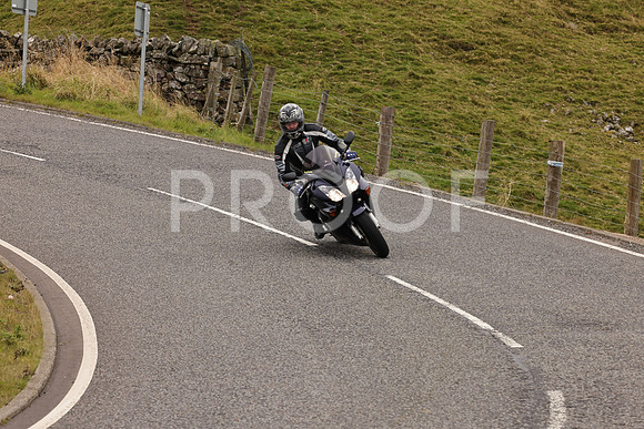 Steve - 3N3A9999 (2963)