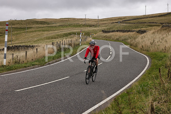 Dave - 3N3A061400 (504)