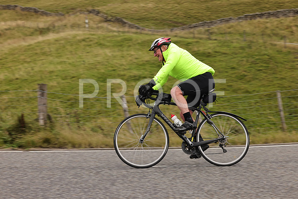 Steve - 3N3A9999 (2189)