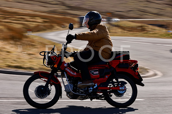 _N3A000200 (1478)