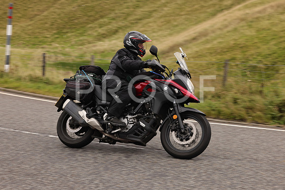 Steve - 3N3A9999 (2934)