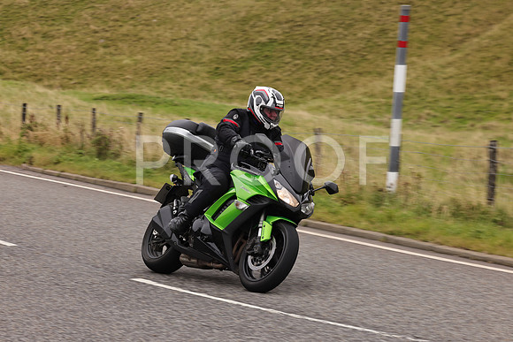 Steve - 3N3A9999 (3087)